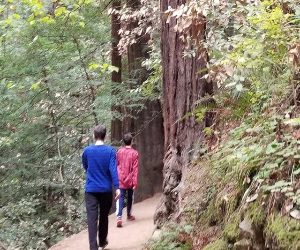 picture of teenagers hiking